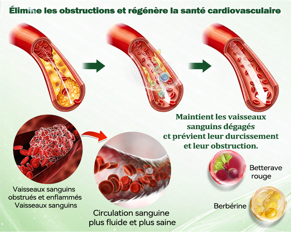 🇫🇷 Nouveauté 2026丨 Purelora® Moringa Berbérine x NAD+ Patch Nano-Microneedle 10-en-1 Une application par jour, changements visibles dès 7 jours. Pour accompagner la gestion du poids et le bien-être global.