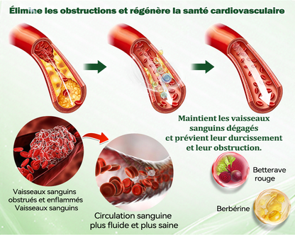 🇫🇷 Nouveauté 2026丨 Purelora® Moringa Berbérine x NAD+ Patch Nano-Microneedle 10-en-1 Une application par jour, changements visibles dès 7 jours. Pour accompagner la gestion du poids et le bien-être global.