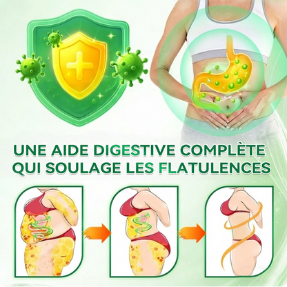 🇫🇷 Nouveauté 2026丨 Purelora® Moringa Berbérine x NAD+ Patch Nano-Microneedle 10-en-1 Une application par jour, changements visibles dès 7 jours. Pour accompagner la gestion du poids et le bien-être global.