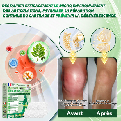 🇫🇷 Nouveauté 2026丨 Purelora® Moringa Berbérine x NAD+ Patch Nano-Microneedle 10-en-1 Une application par jour, changements visibles dès 7 jours. Pour accompagner la gestion du poids et le bien-être global.
