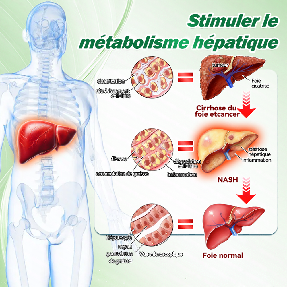 Purelora® Berberine × Chromium Complete Metabolic Rhythm Kit (🌀 Patch externe quotidien + Poudre de soutien métabolique hebdomadaire) ✅ Pour l’équilibre métabolique, le soutien de la glycémie, la circulation et la santé métabolique globale